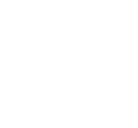 New Maxus